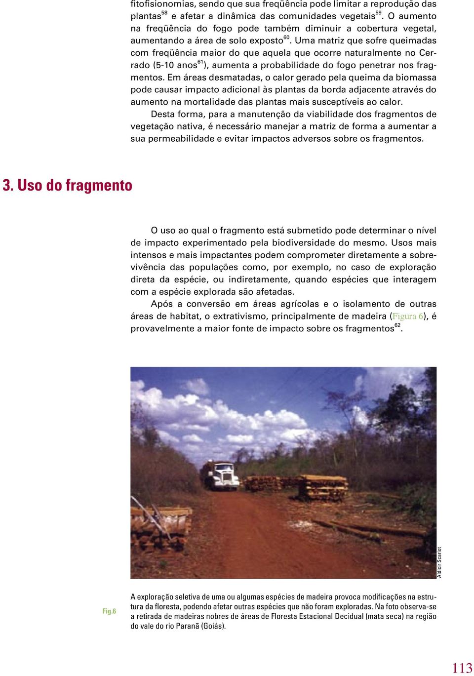 Uma matriz que sofre queimadas com freqüência maior do que aquela que ocorre naturalmente no Cerrado (5-10 anos 61 ), aumenta a probabilidade do fogo penetrar nos fragmentos.