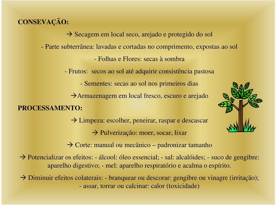 descascar Pulverização: moer, socar, lixar Corte: manual ou mecânico padronizar tamanho Potencializar os efeitos: - álcool: óleo essencial; - sal: alcalóides; - suco de gengibre: aparelho