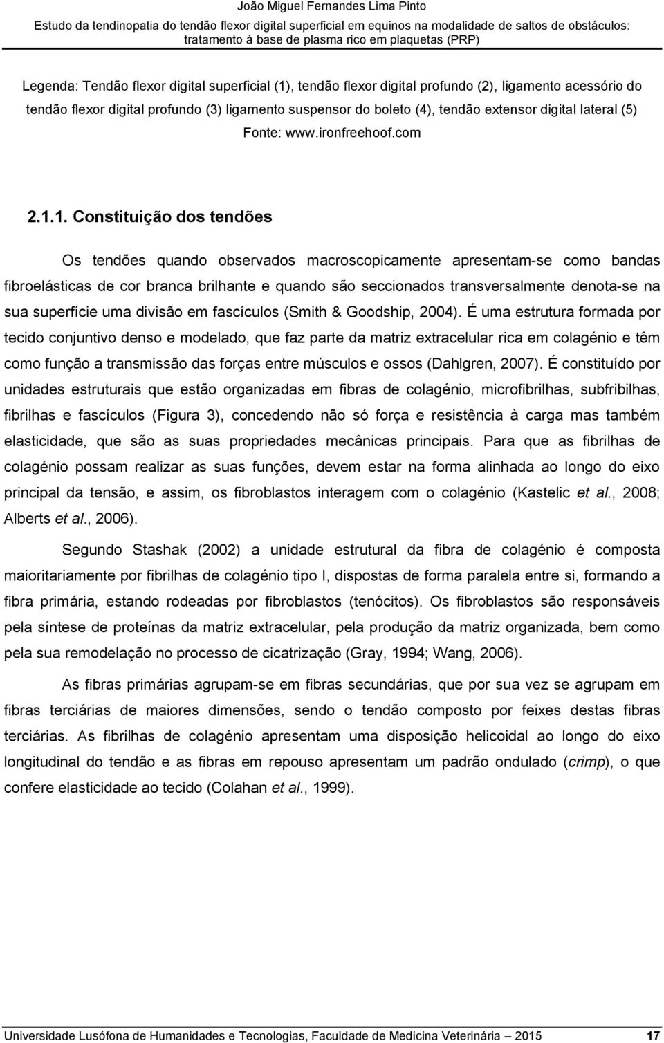 1. Constituição dos tendões Os tendões quando observados macroscopicamente apresentam-se como bandas fibroelásticas de cor branca brilhante e quando são seccionados transversalmente denota-se na sua