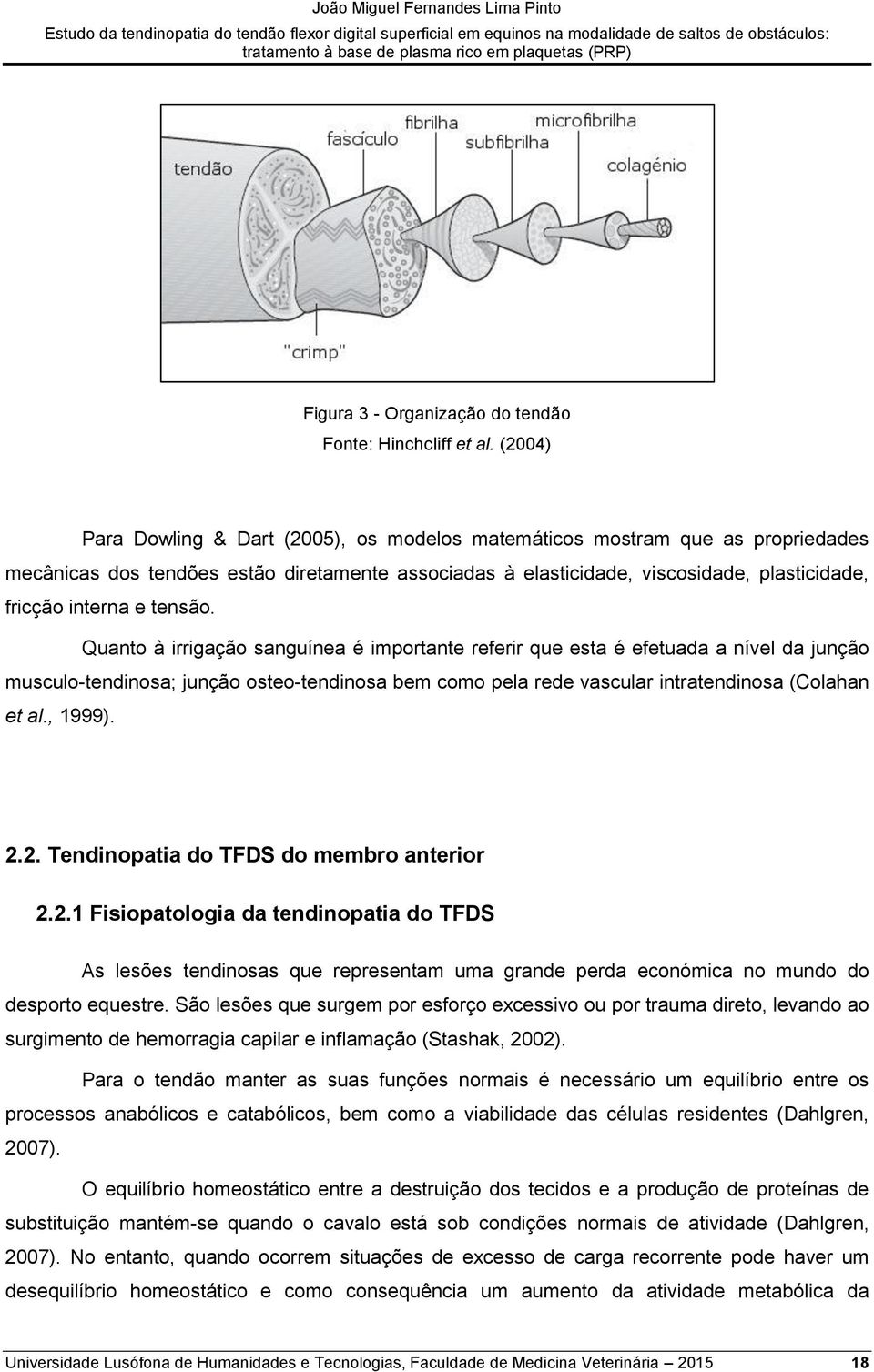 tensão. Quanto à irrigação sanguínea é importante referir que esta é efetuada a nível da junção musculo-tendinosa; junção osteo-tendinosa bem como pela rede vascular intratendinosa (Colahan et al.