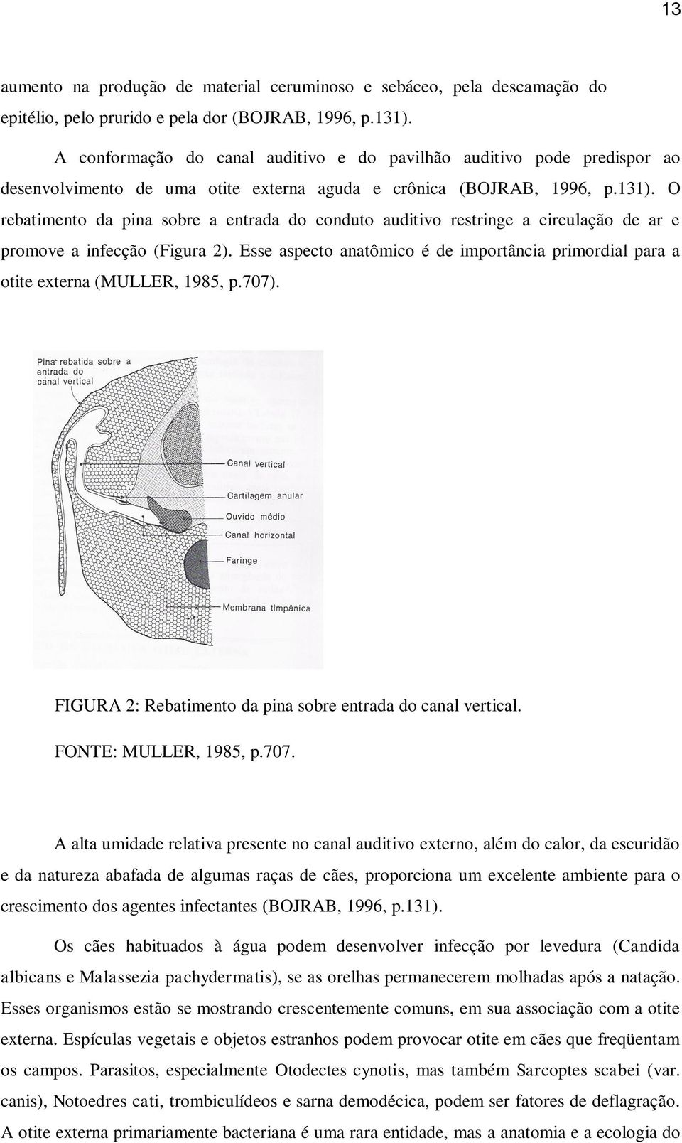 O rebatimento da pina sobre a entrada do conduto auditivo restringe a circulação de ar e promove a infecção (Figura 2).