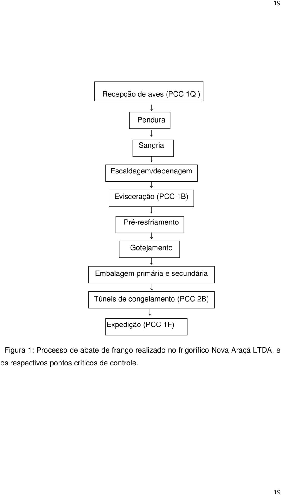 congelamento (PCC 2B) Expedição (PCC 1F) Figura 1: Processo de abate de frango