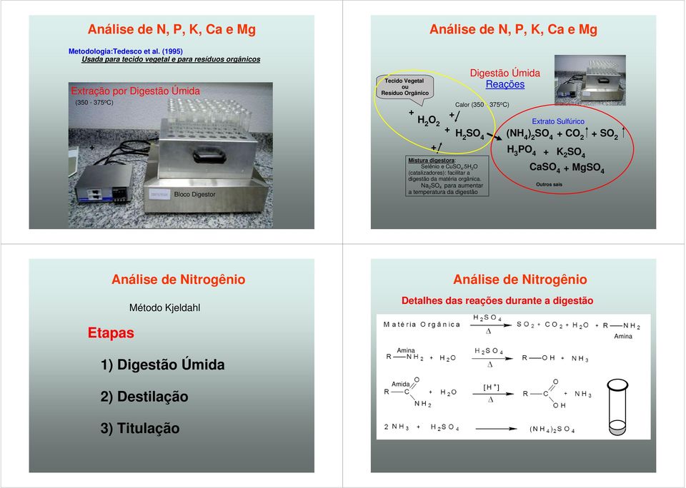 K, Ca e Mg + Mistura digestora: Selênio e CuSO 4.5H 2 O (catalizadores): facilitar a digestão da matéria orgânica.