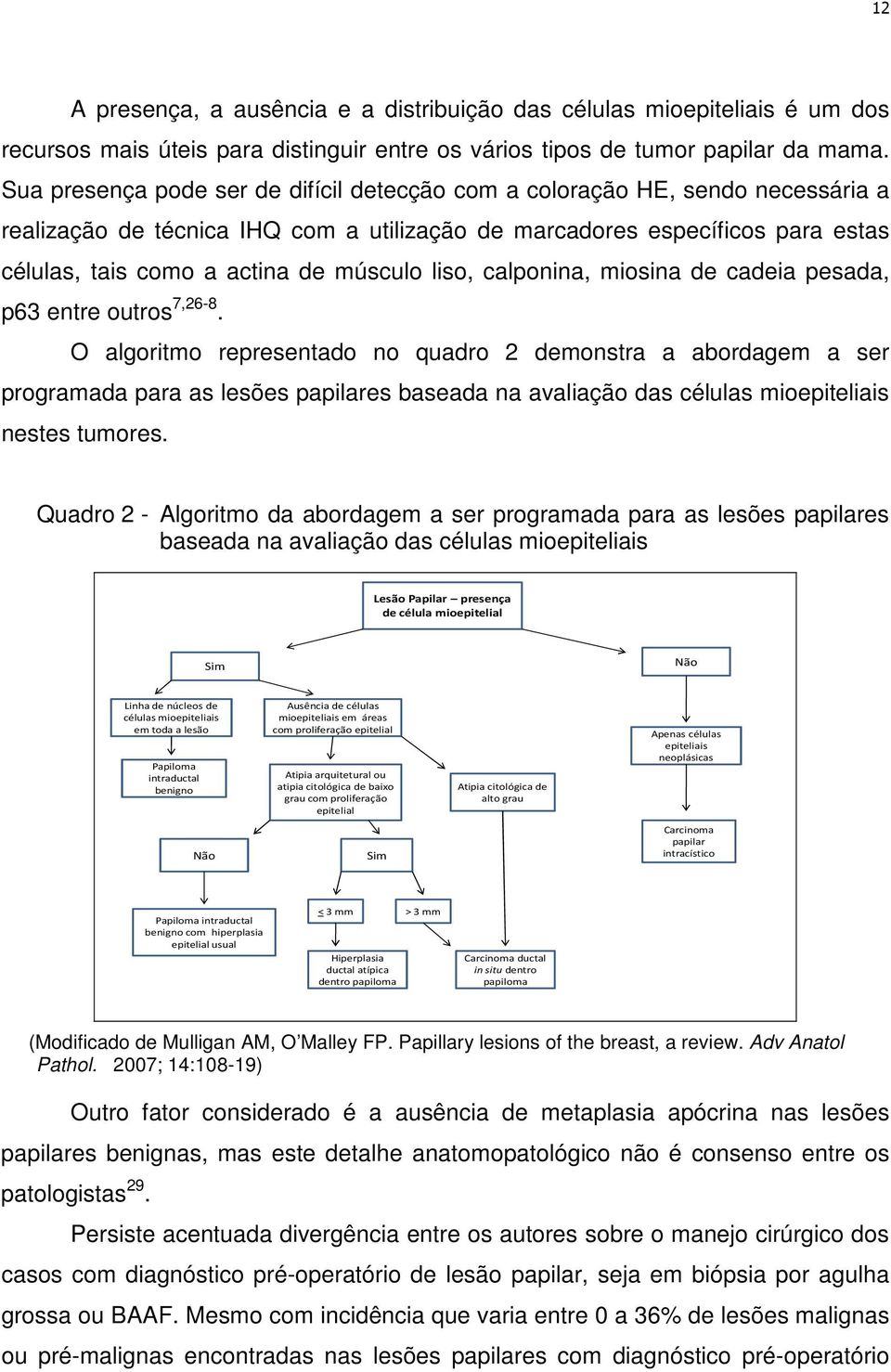 liso, calponina, miosina de cadeia pesada, p63 entre outros 7,26-8.