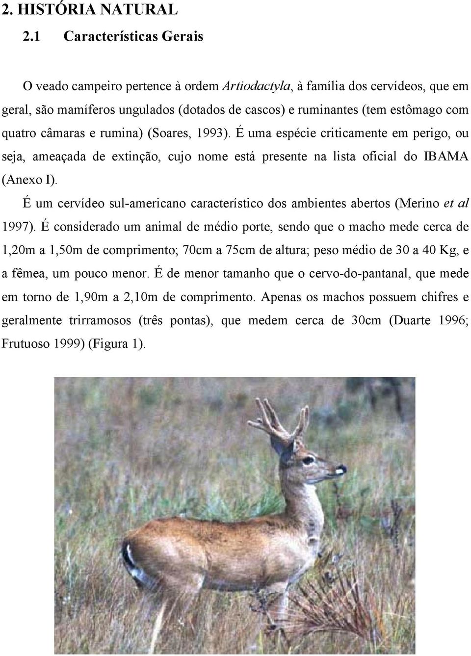 câmaras e rumina) (Soares, 1993). É uma espécie criticamente em perigo, ou seja, ameaçada de extinção, cujo nome está presente na lista oficial do IBAMA (Anexo I).