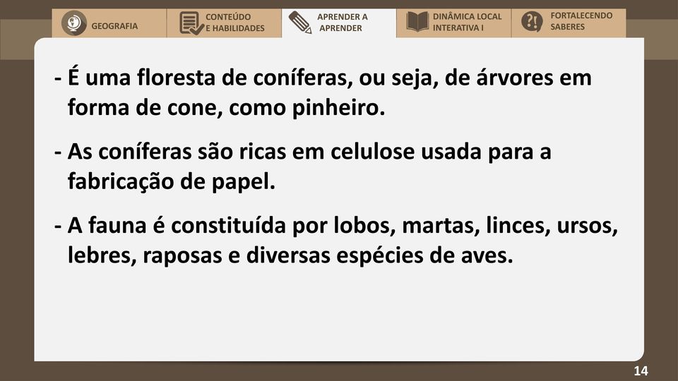 - As coníferas são ricas em celulose usada para a fabricação de