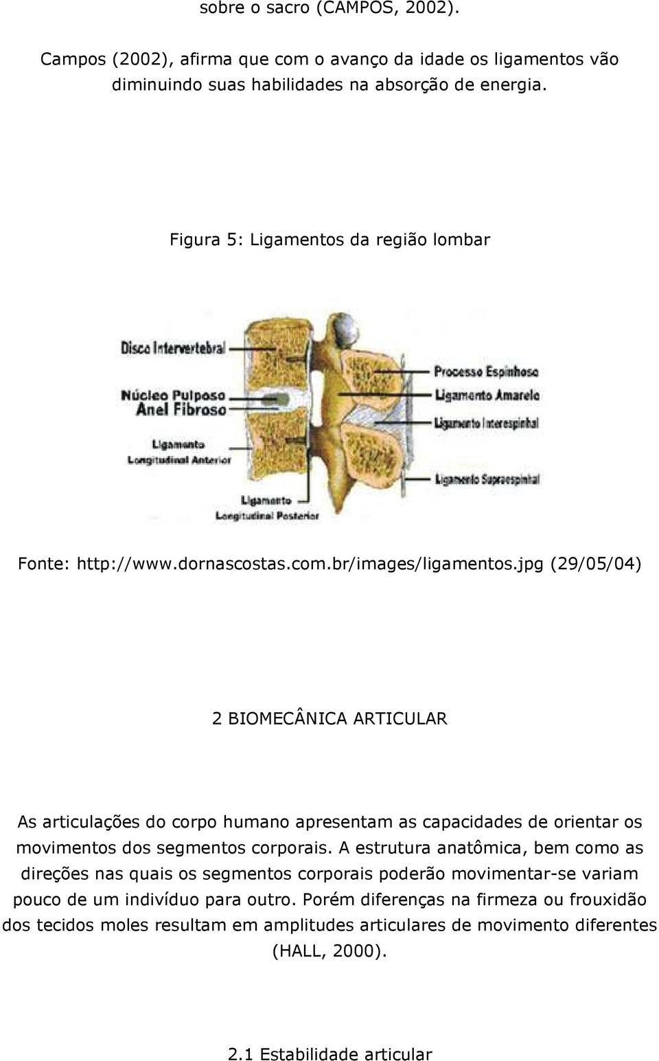 jpg (29/05/04) 2 BIOMECÂNICA ARTICULAR As articulações do corpo humano apresentam as capacidades de orientar os movimentos dos segmentos corporais.