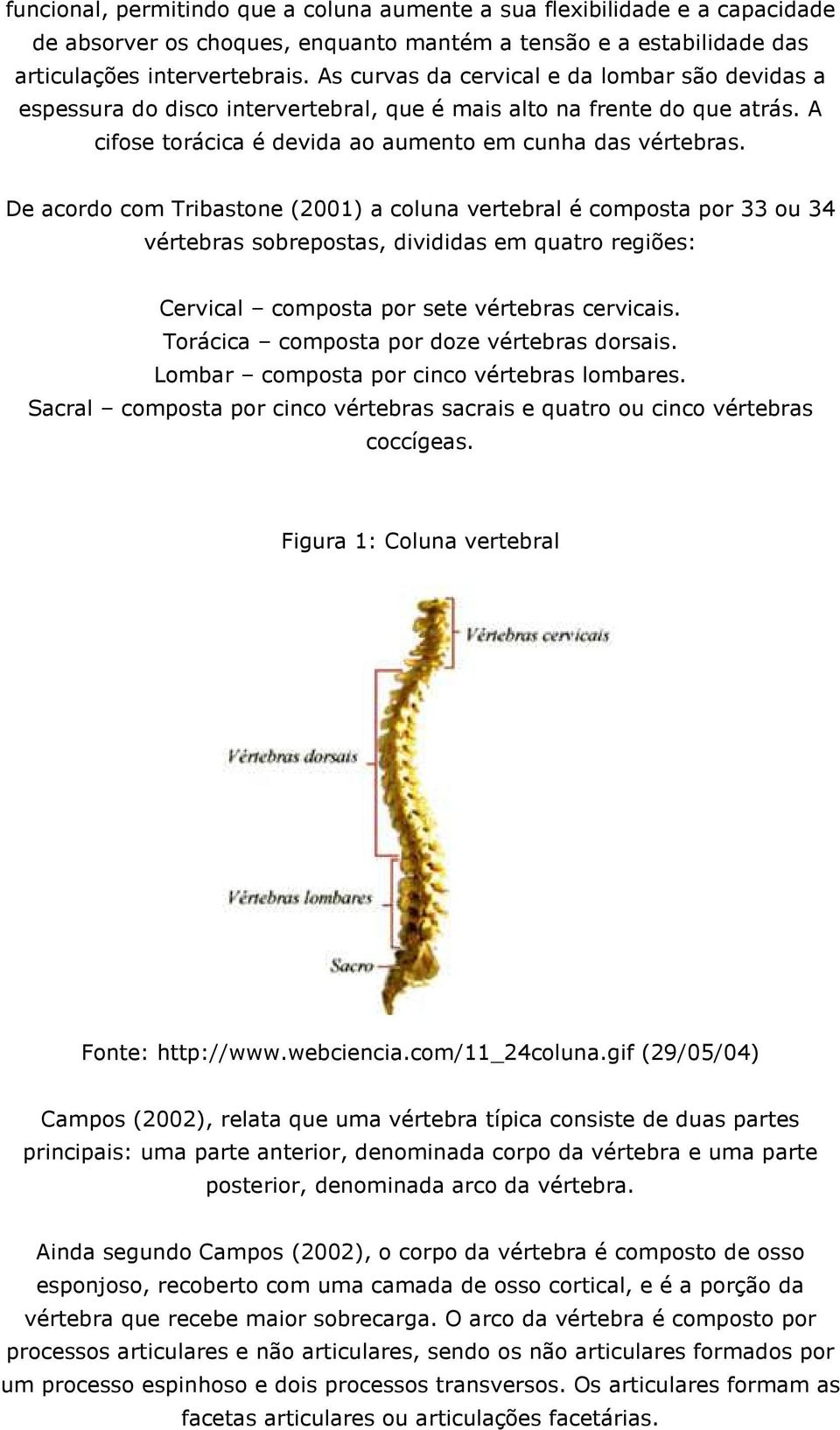 De acordo com Tribastone (2001) a coluna vertebral é composta por 33 ou 34 vértebras sobrepostas, divididas em quatro regiões: Cervical composta por sete vértebras cervicais.
