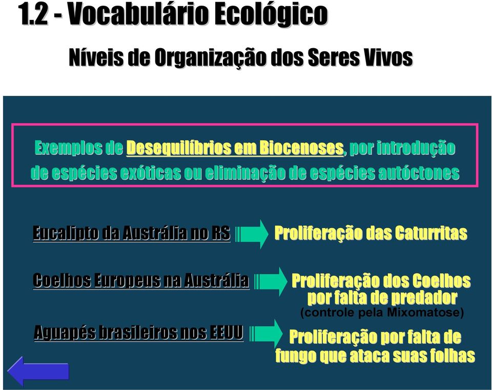 Austrália no RS Coelhos Europeus na Austrália Aguapés s brasileiros nos EEUU Proliferação das Caturritas