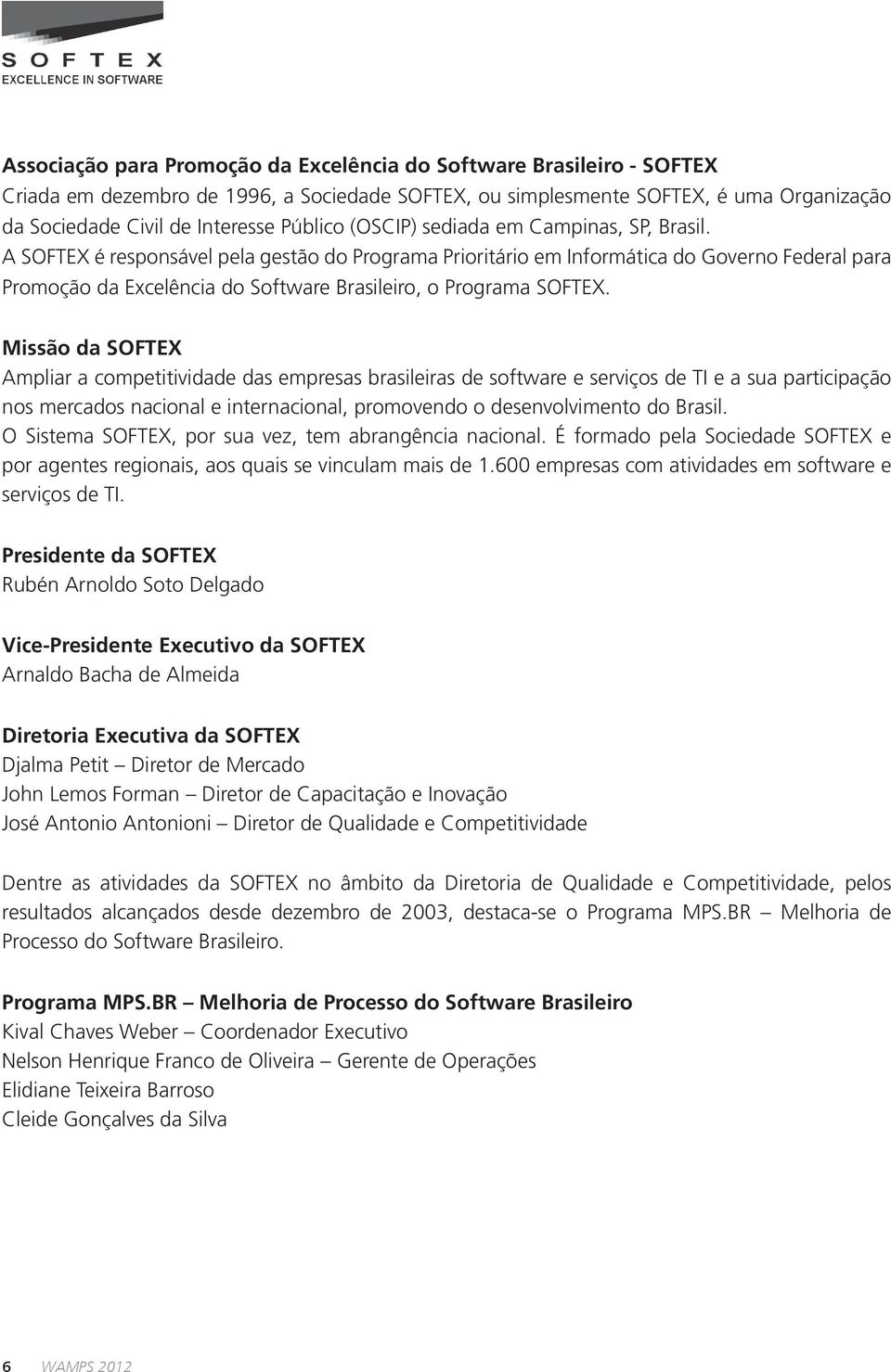 A SOFTEX é responsável pela gestão do Programa Prioritário em Informática do Governo Federal para Promoção da Excelência do Software Brasileiro, o Programa SOFTEX.