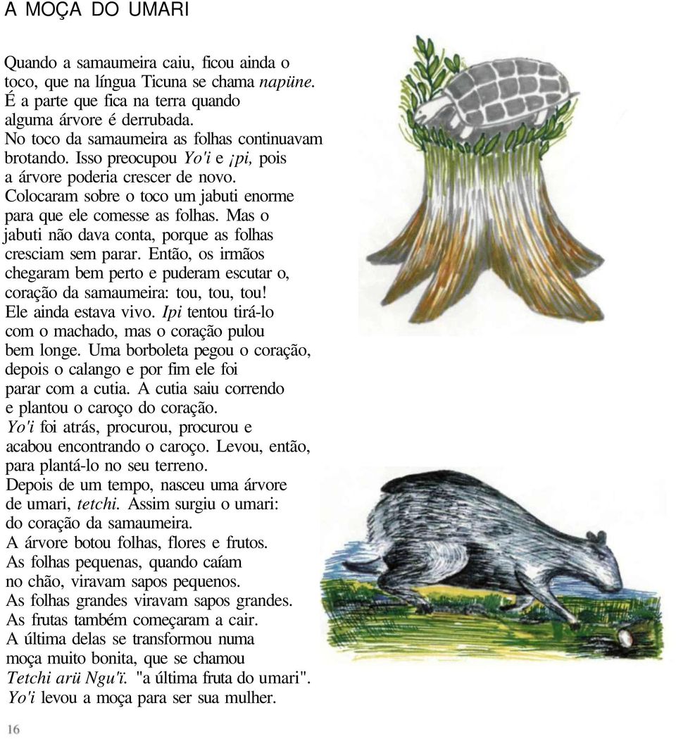 Mas o jabuti não dava conta, porque as folhas cresciam sem parar. Então, os irmãos chegaram bem perto e puderam escutar o, coração da samaumeira: tou, tou, tou! Ele ainda estava vivo.