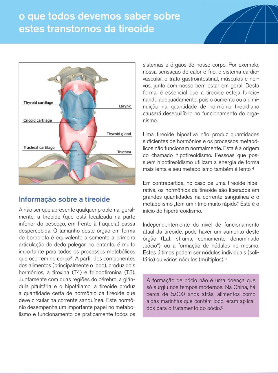 Desta forma, é essencial que a tireoide esteja funcionando adequadamente, pois o aumento ou a diminuição na quantidade de hormônio tireoidiano causará desequilíbrio no funcionamento do organismo.