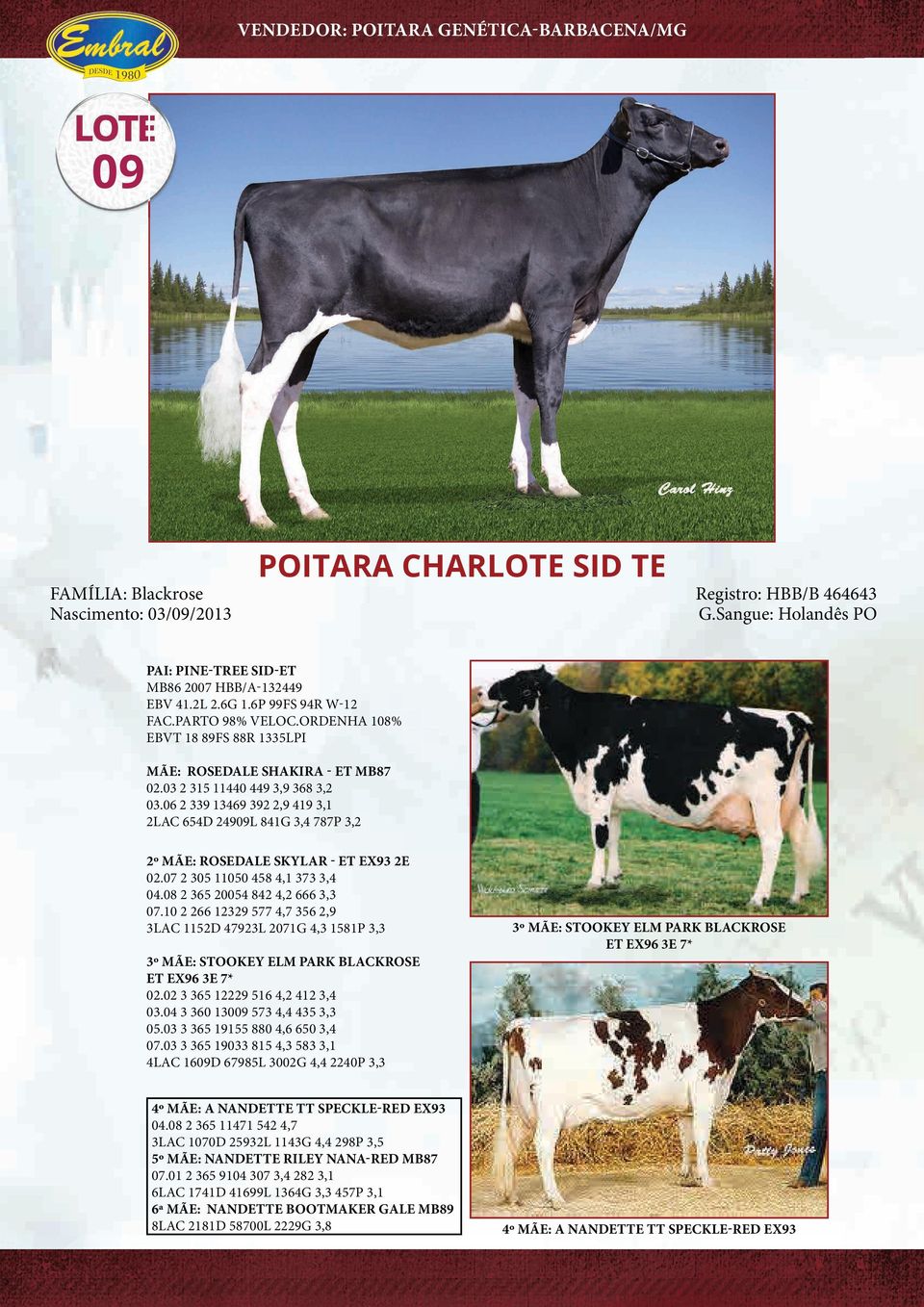 06 2 339 13469 392 2,9 419 3,1 2LAC 654D 24909L 841G 3,4 787P 3,2 2º MÃE: ROSEDALE SKYLAR - ET EX93 2E 02.07 2 305 11050 458 4,1 373 3,4 04.08 2 365 20054 842 4,2 666 3,3 07.