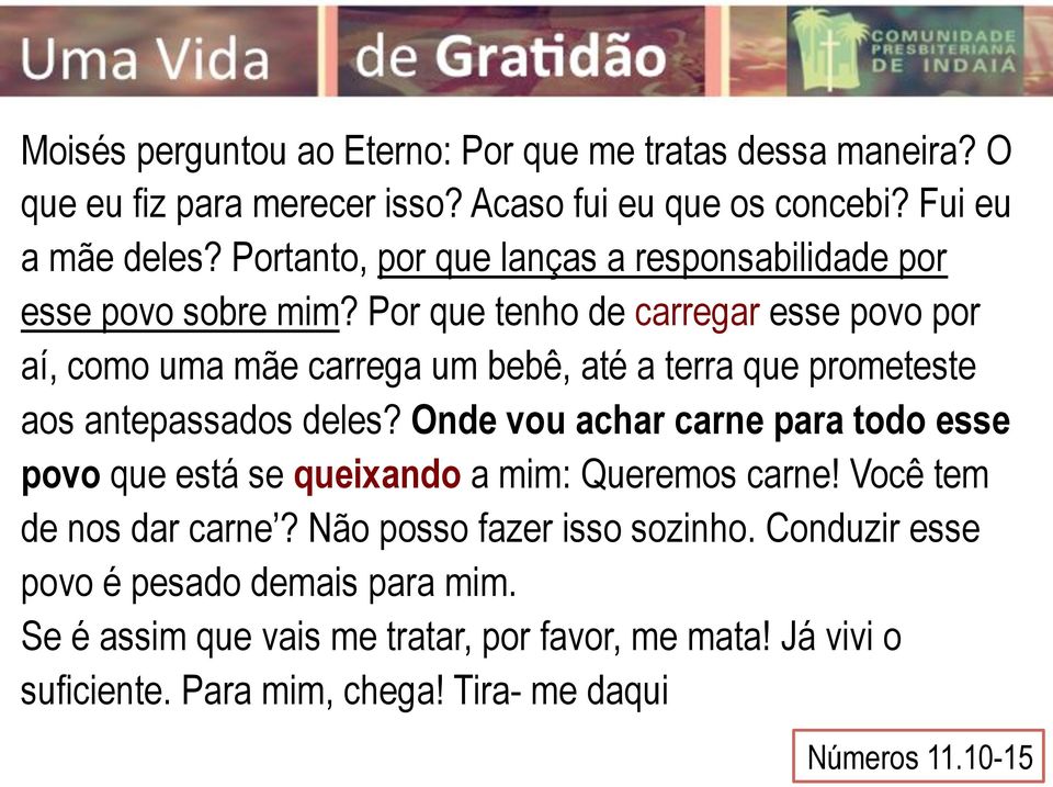 Por que tenho de carregar esse povo por aí, como uma mãe carrega um bebê, até a terra que prometeste aos antepassados deles?