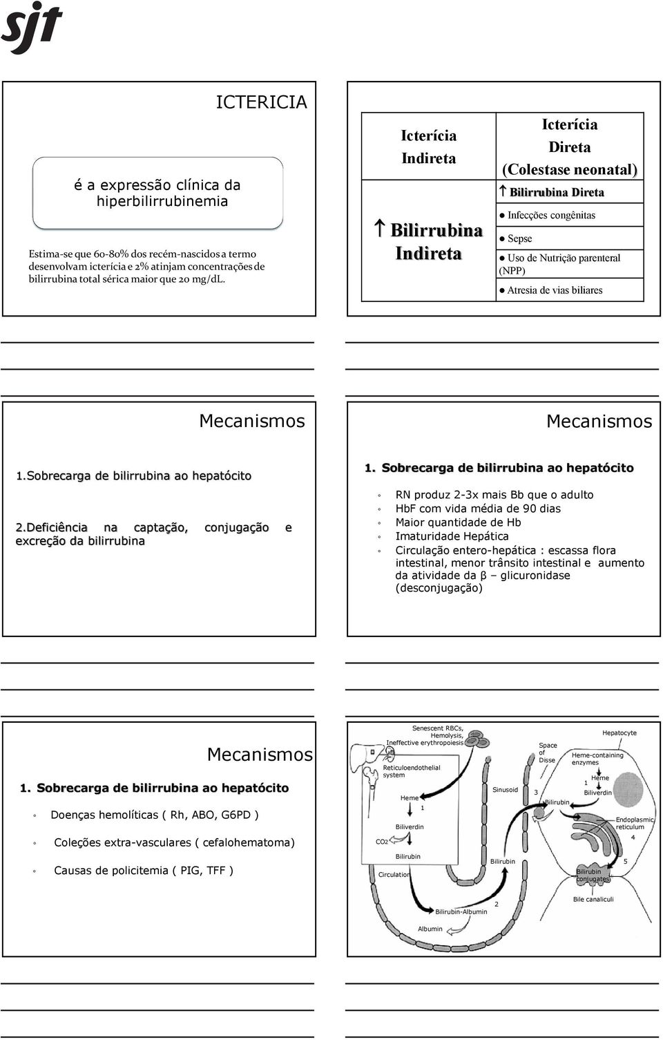 Mecanismos 1.Sobrecarga de bilirrubina ao hepatócito 2.Deficiência na captação, conjugação e excreção da bilirrubina 1.