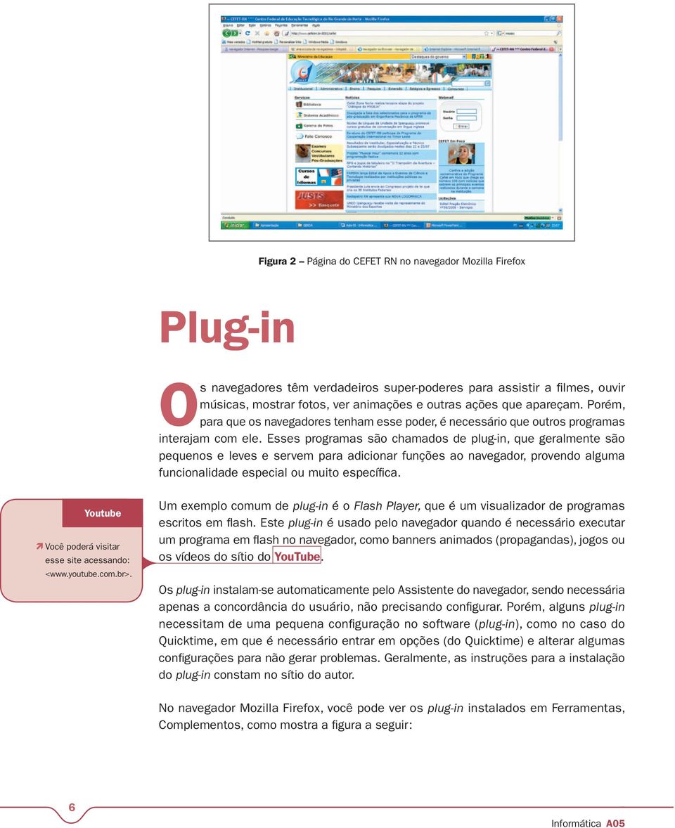 Esses programas são chamados de plug-in, que geralmente são pequenos e leves e servem para adicionar funções ao navegador, provendo alguma funcionalidade especial ou muito específica.