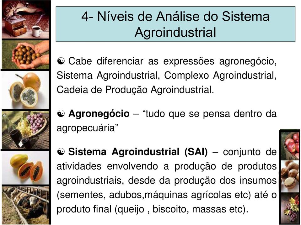 Agronegócio tudo que se pensa dentro da agropecuária Sistema Agroindustrial (SAI) conjunto de atividades