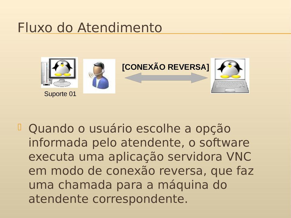 executa uma aplicação servidora VNC em modo de conexão