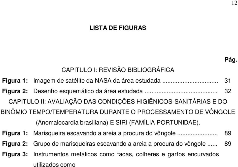 Figura 1: Marisqueira escavando a areia a procura do vôngole... 89 Figura 2: Grupo de marisqueiras escavando a areia a procura do vôngole.