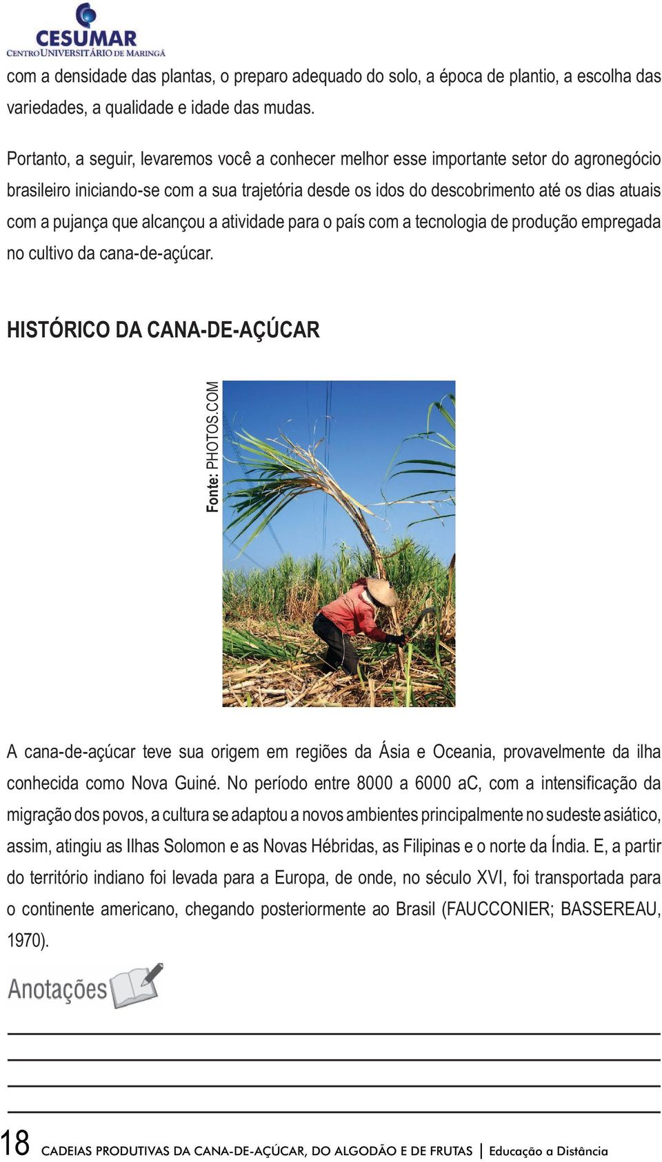 que alcançou a atividade para o país com a tecnologia de produção empregada no cultivo da cana-de-açúcar. HISTÓRICO DA CANA-DE-AÇÚCAR Fonte: PHOTOS.