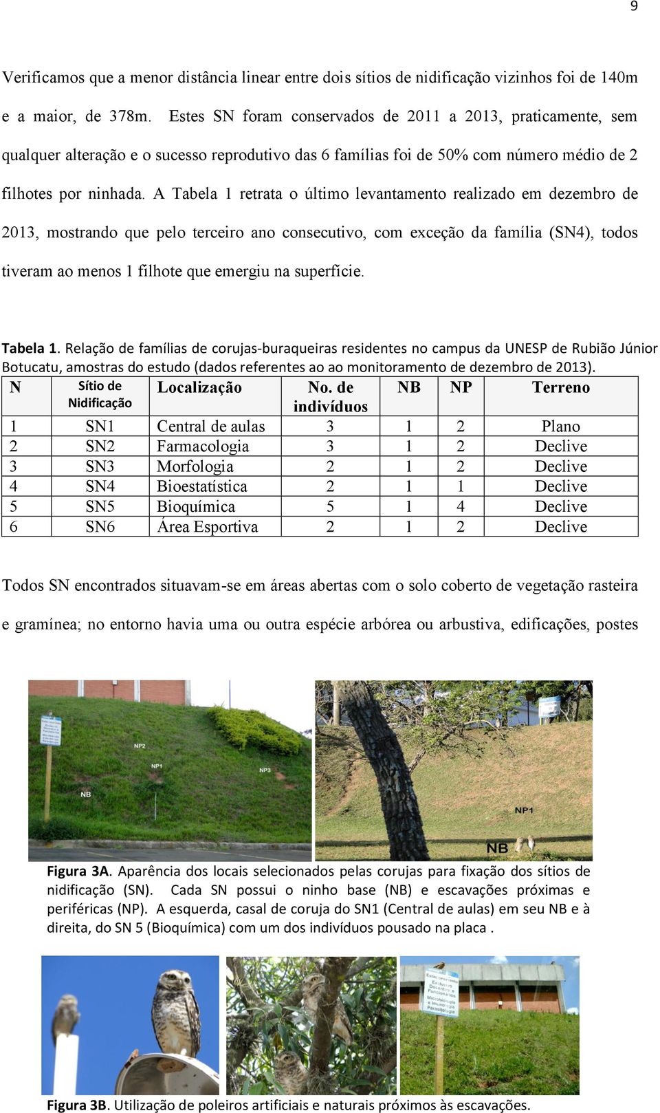 A Tabela 1 retrata o último levantamento realizado em dezembro de 2013, mostrando que pelo terceiro ano consecutivo, com exceção da família (SN4), todos tiveram ao menos 1 filhote que emergiu na