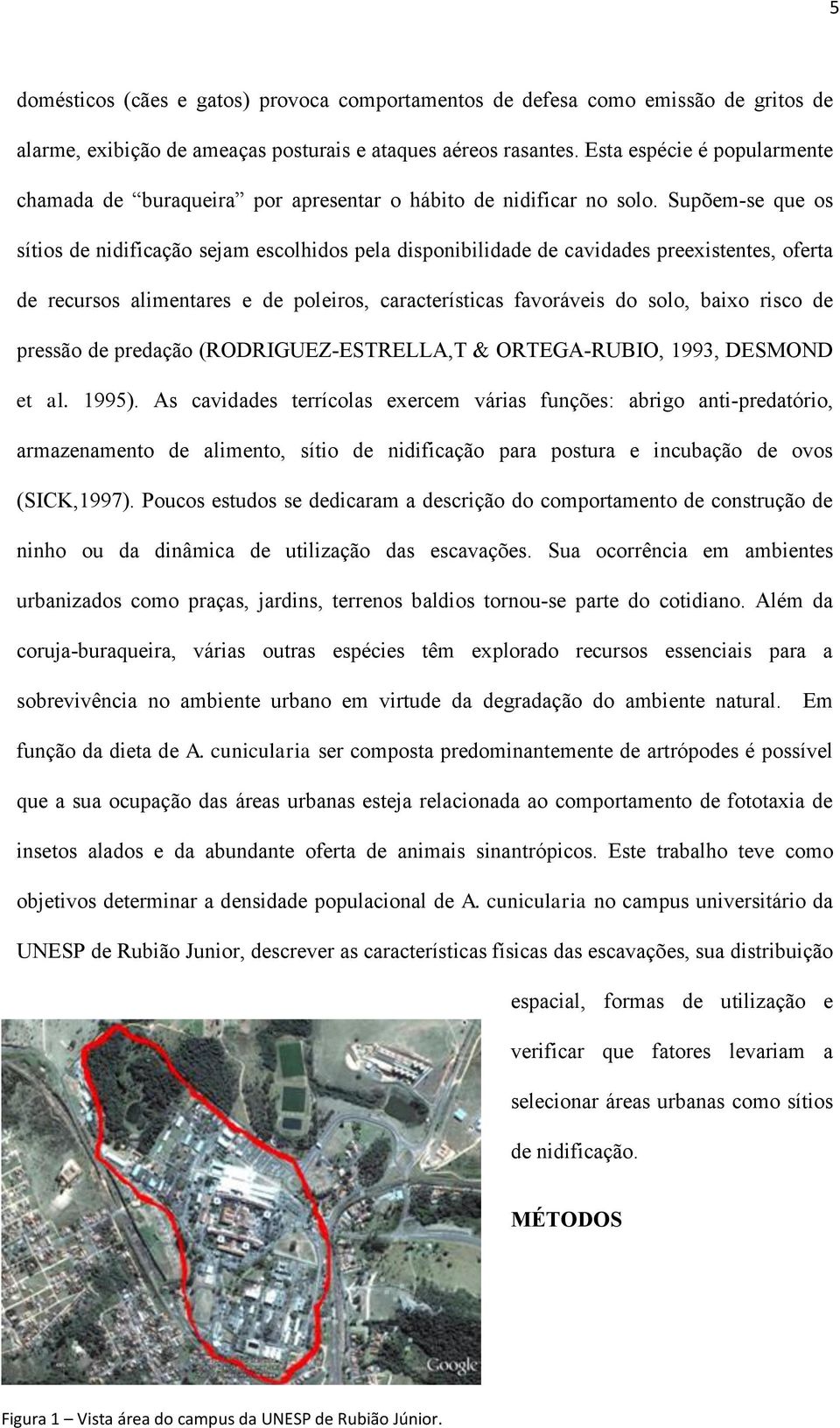 Supõem-se que os sítios de nidificação sejam escolhidos pela disponibilidade de cavidades preexistentes, oferta de recursos alimentares e de poleiros, características favoráveis do solo, baixo risco