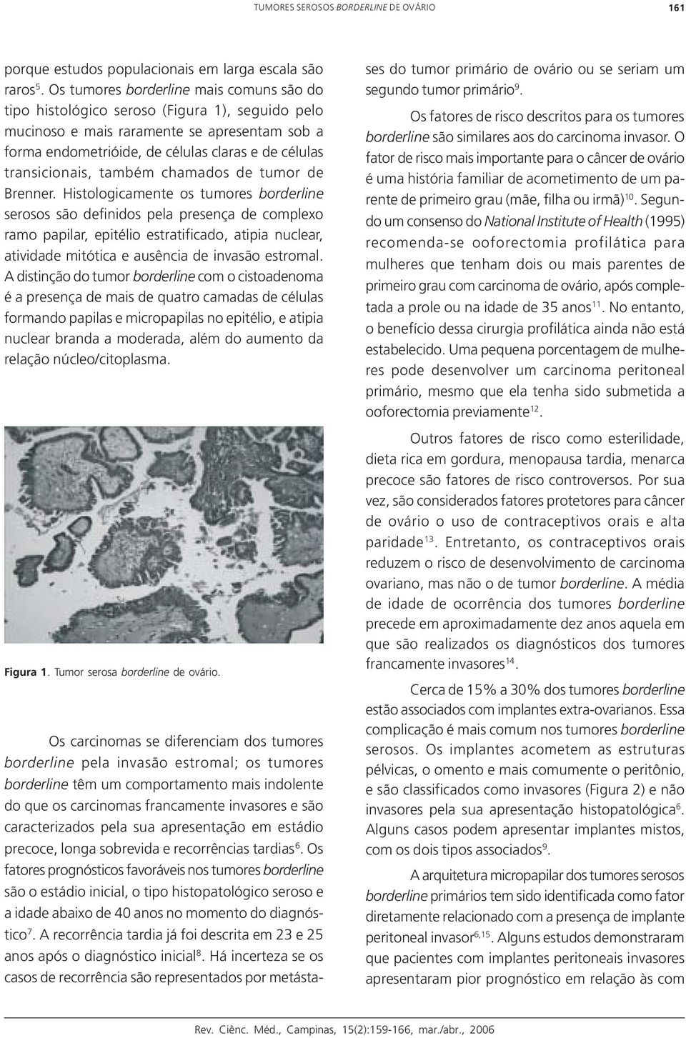 transicionais, também chamados de tumor de Brenner.