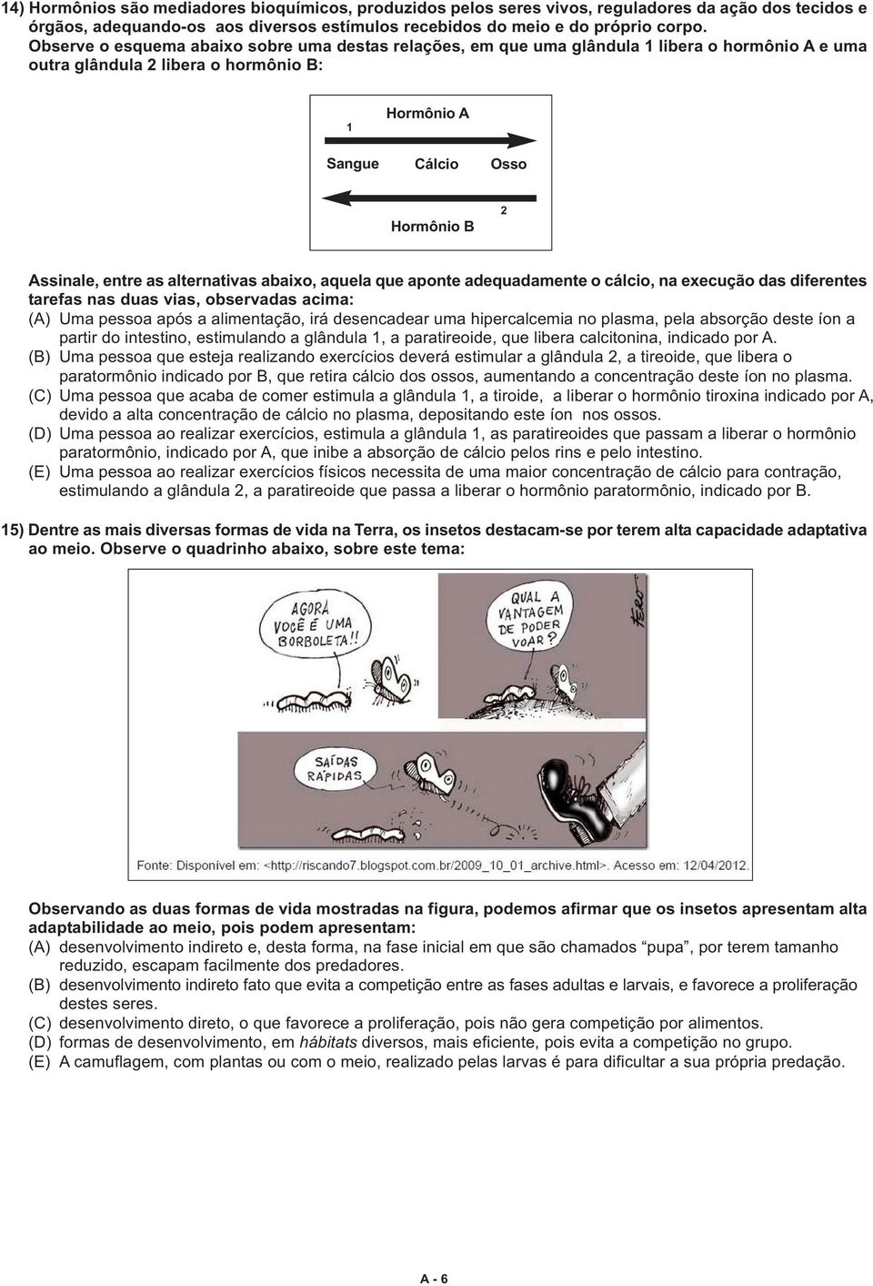 as alternativas abaixo, aquela que aponte adequadamente o cálcio, na execução das diferentes tarefas nas duas vias, observadas acima: (A) Uma pessoa após a alimentação, irá desencadear uma