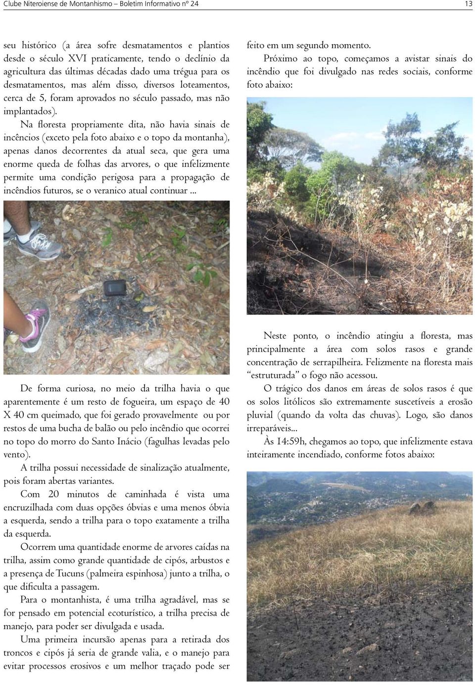 Na floresta propriamente dita, não havia sinais de incêncios (exceto pela foto abaixo e o topo da montanha), apenas danos decorrentes da atual seca, que gera uma enorme queda de folhas das arvores, o