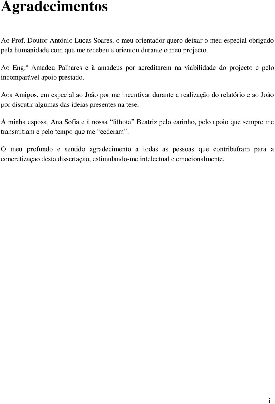 Aos Amigos, em especial ao João por me incentivar durante a realização do relatório e ao João por discutir algumas das ideias presentes na tese.