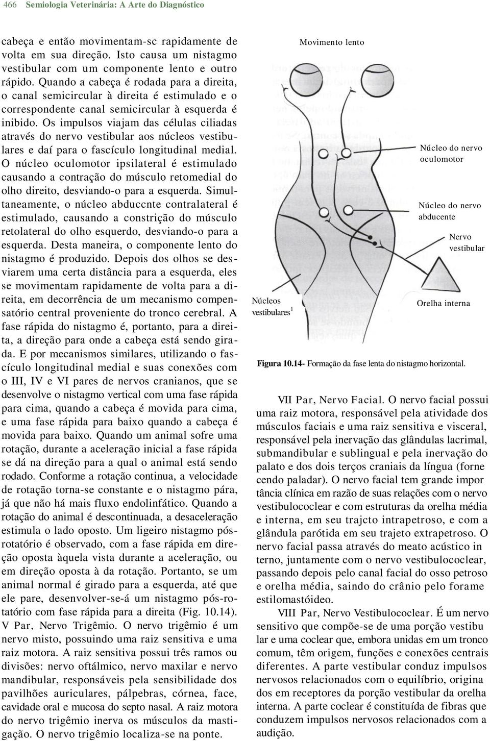 Os impulsos viajam das células ciliadas através do nervo vestibular aos núcleos vestibulares e daí para o fascículo longitudinal medial.