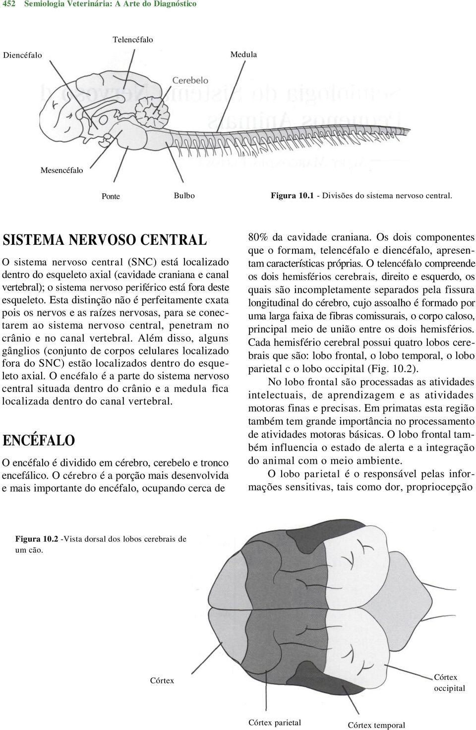 Esta distinção não é perfeitamente cxata pois os nervos e as raízes nervosas, para se conectarem ao sistema nervoso central, penetram no crânio e no canal vertebral.