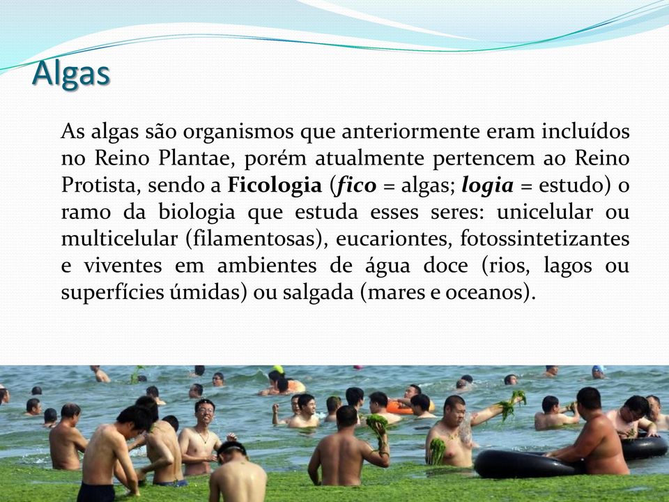 que estuda esses seres: unicelular ou multicelular (filamentosas), eucariontes, fotossintetizantes