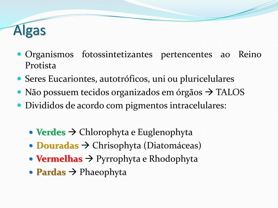 órgãos TALOS Divididos de acordo com pigmentos intracelulares: Verdes Chlorophyta e