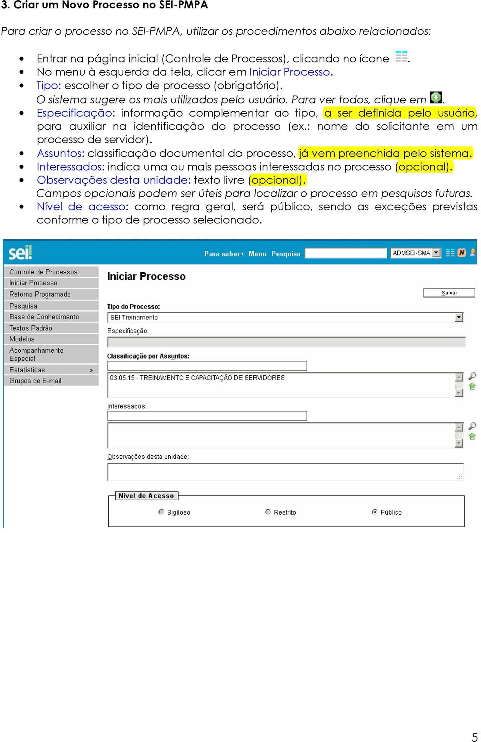 Especificação: informação complementar ao tipo, a ser definida pelo usuário, para auxiliar na identificação do processo (ex.: nome do solicitante em um processo de servidor).