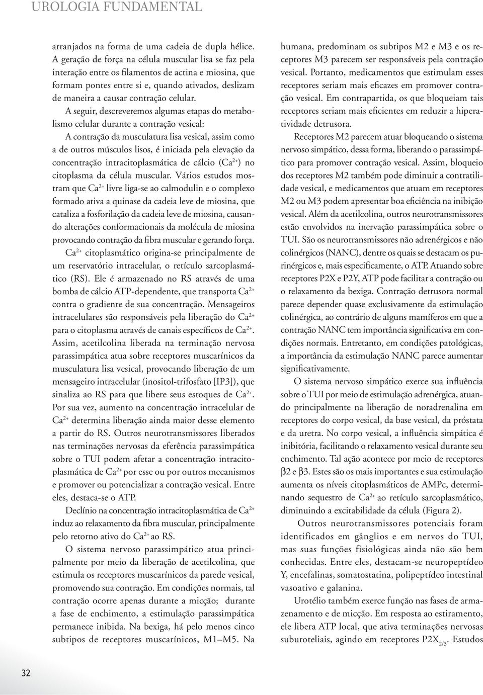 A seguir, descreveremos algumas etapas do metabolismo celular durante a contração vesical: A contração da musculatura lisa vesical, assim como a de outros músculos lisos, é iniciada pela elevação da