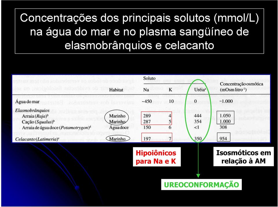 elasmobrânquios e celacanto Hipoiônicos para