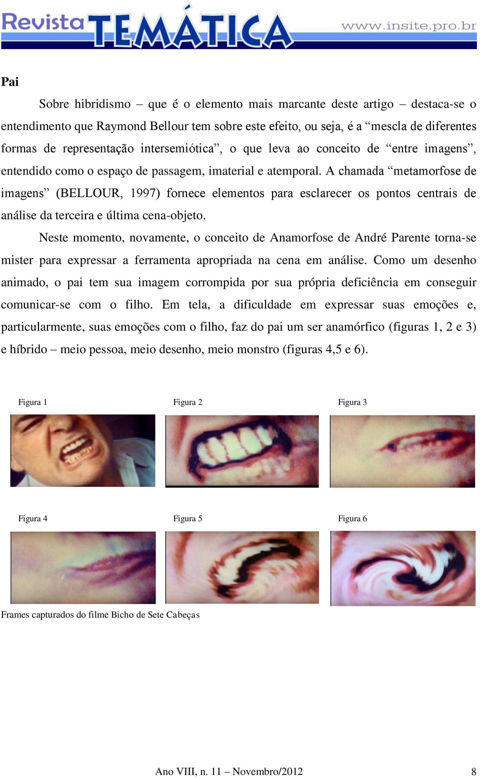 A chamada metamorfose de imagens (BELLOUR, 1997) fornece elementos para esclarecer os pontos centrais de análise da terceira e última cena-objeto.