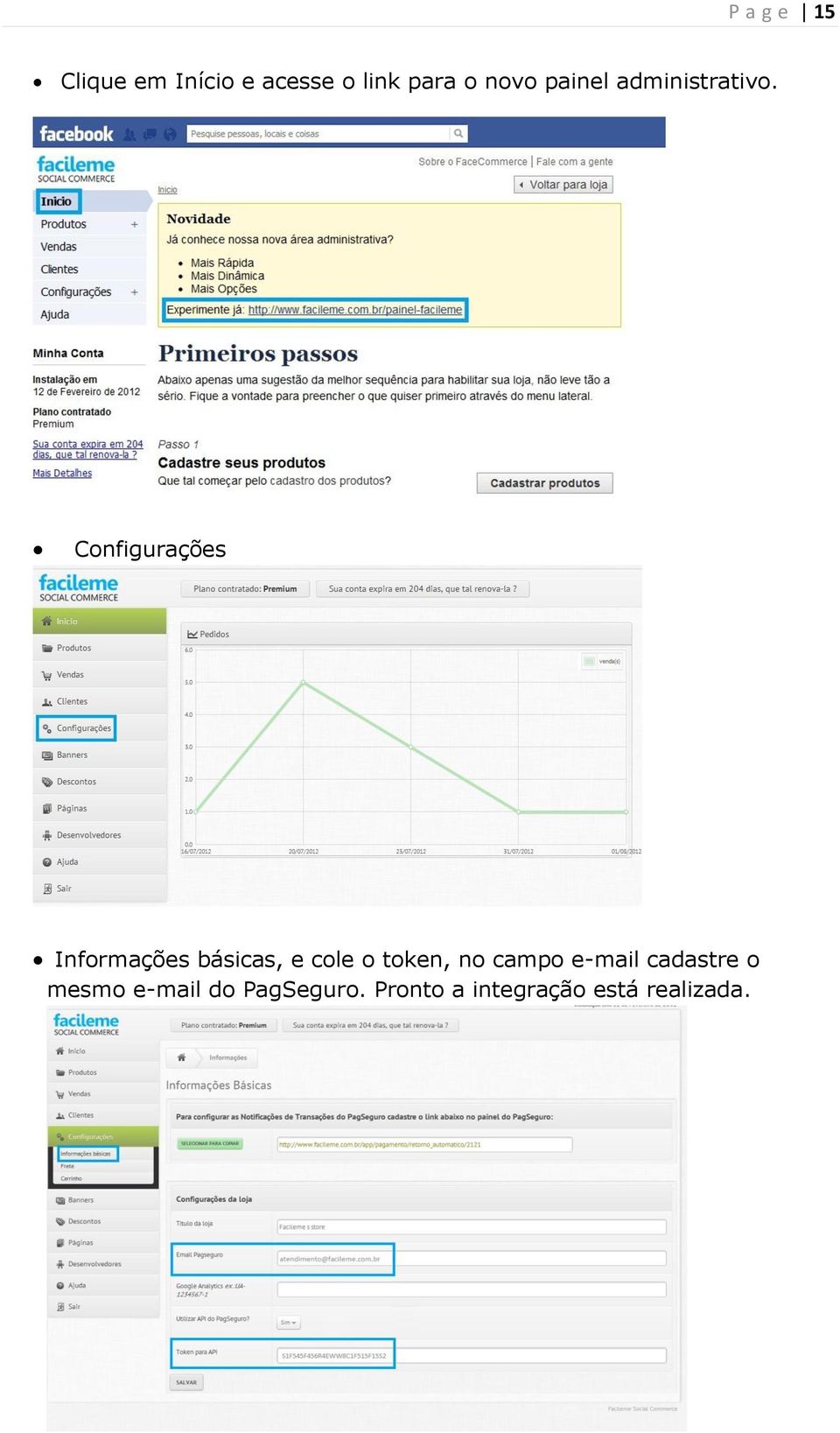 Configurações Informações básicas, e cole o token, no