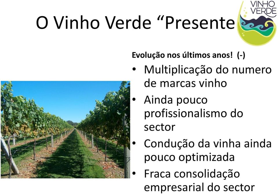 pouco profissionalismo do sector Condução da vinha