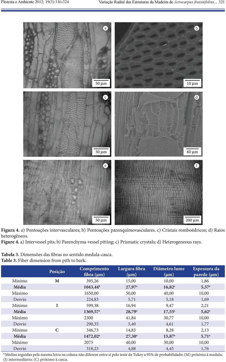 Dimensões das fibras no sentido medula-casca. Table 3. Fiber dimension from pith to bark.