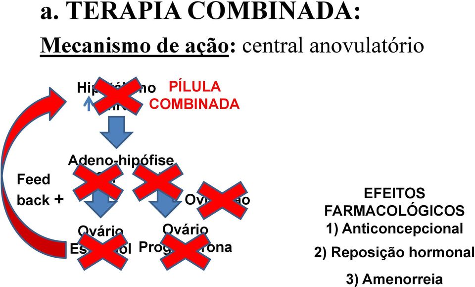 LH Ovulação EFEITOS FARMACOLÓGICOS Ovário Ovário 1)