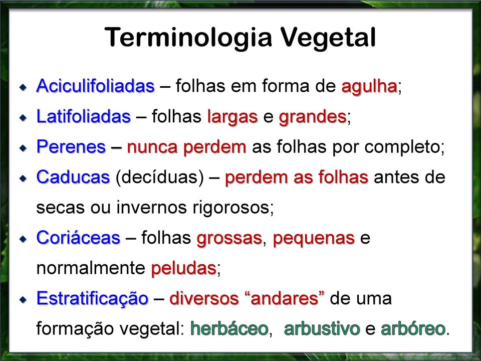 perdem as folhas antes de secas ou invernos rigorosos; Coriáceas folhas grossas,