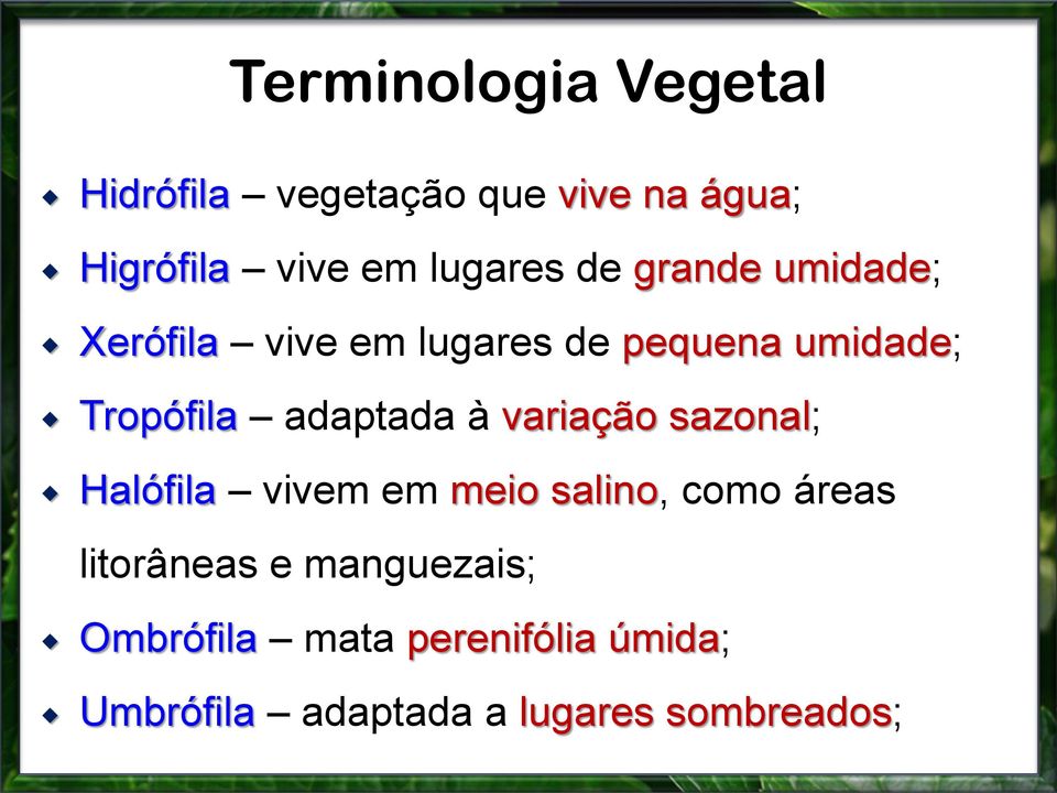 adaptada à variação sazonal; Halófila vivem em meio salino, como áreas litorâneas