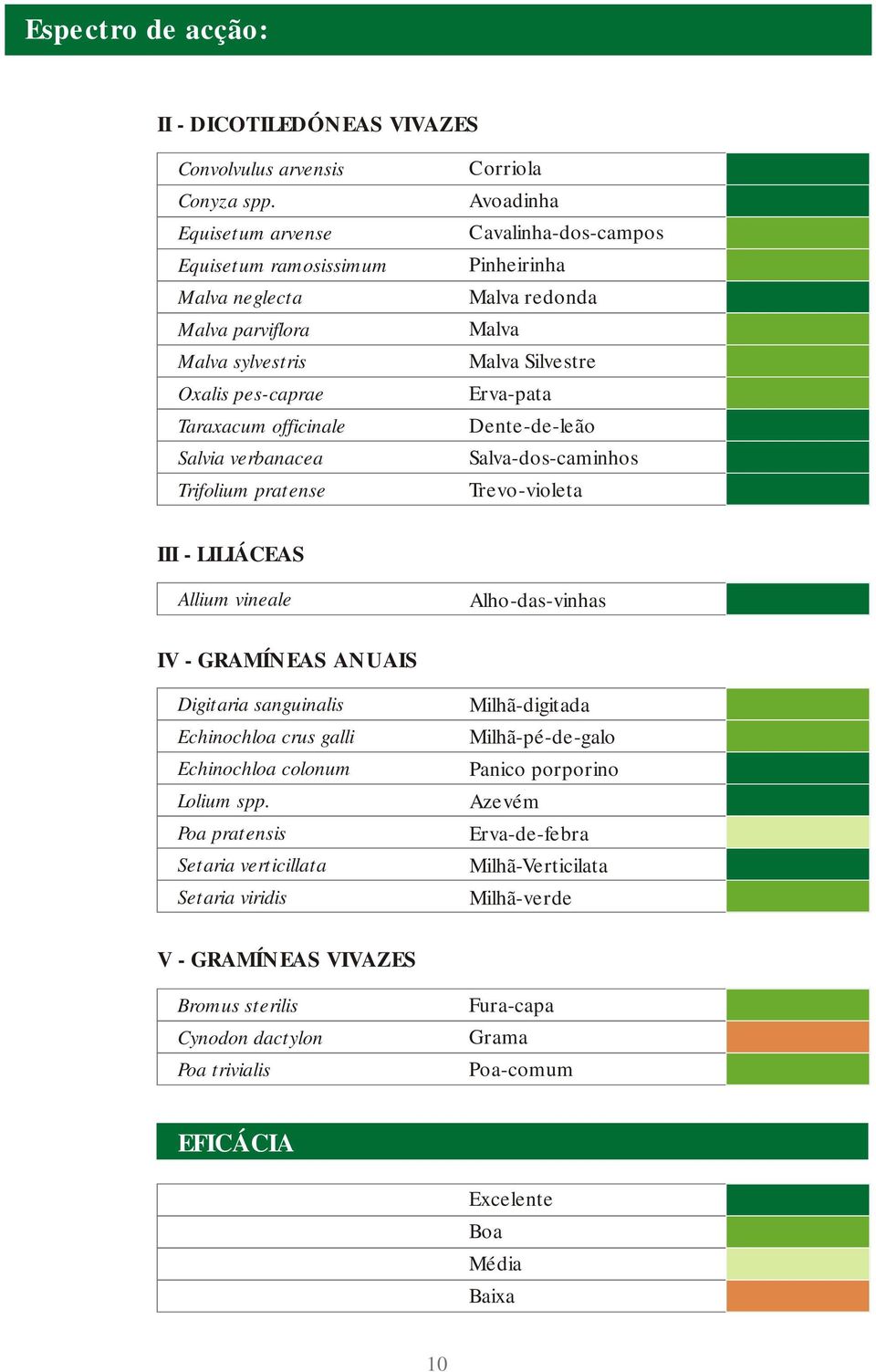 Cavalinha-dos-campos Pinheirinha Malva redonda Malva Malva Silvestre Erva-pata Dente-de-leão Salva-dos-caminhos Trevo-violeta III - LILIÁCEAS Allium vineale Alho-das-vinhas IV - GRAMÍNEAS ANUAIS