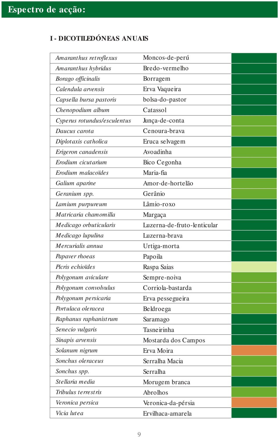 Lamium purpureum Matricaria chamomilla Medicago orbuticularis Medicago lupulina Mercurialis annua Papaver rhoeas Picris echioïdes Polygonum aviculare Polygonum convolvulus Polygonum persicaria