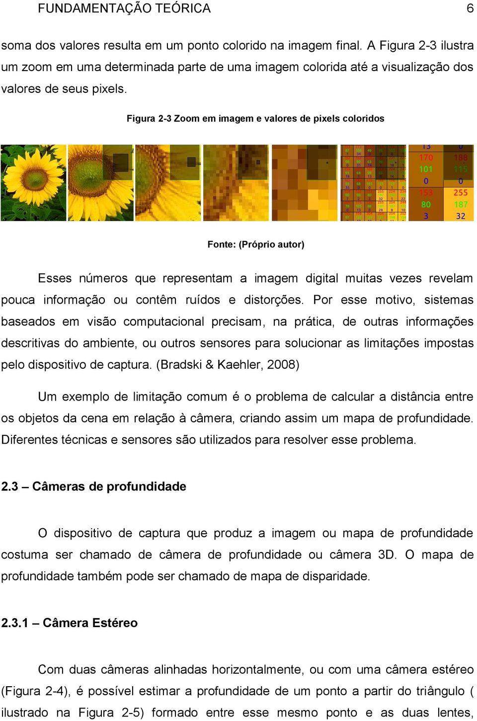 Figura 2-3 Zoom em imagem e valores de pixels coloridos Fonte: (Próprio autor) Esses números que representam a imagem digital muitas vezes revelam pouca informação ou contêm ruídos e distorções.