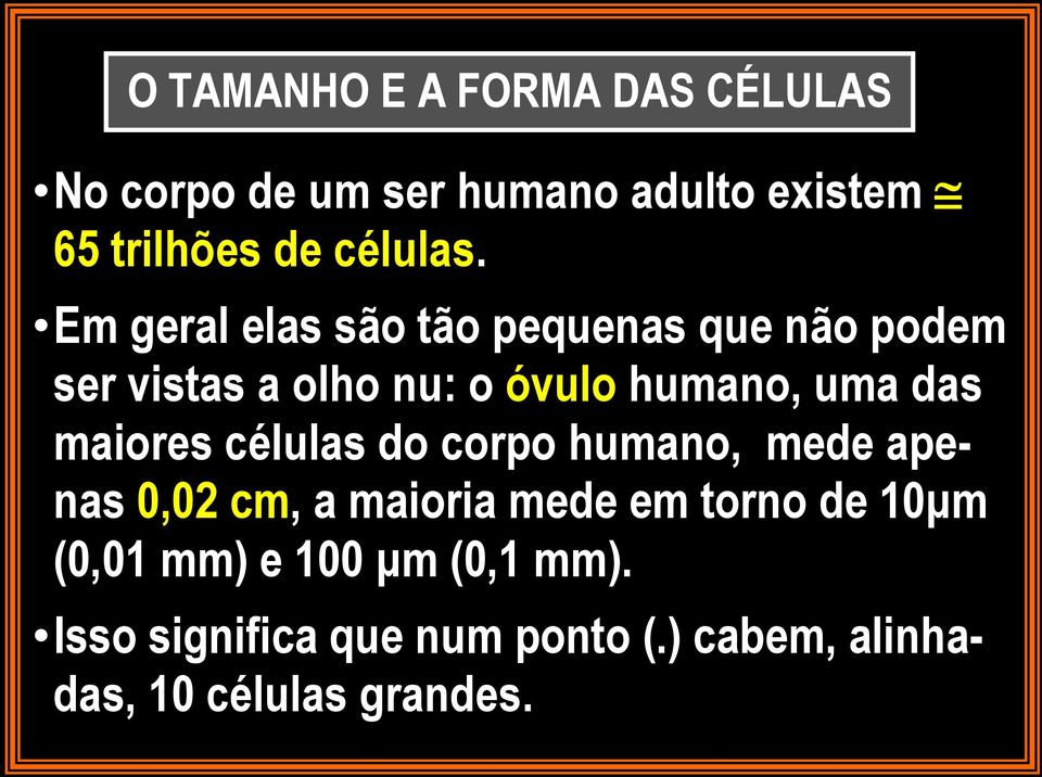 Em geral elas são tão pequenas que não podem ser vistas a olho nu: o óvulo humano, uma das