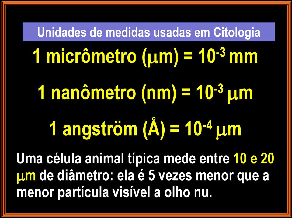 Uma célula animal típica mede entre 10 e 20 m de diâmetro: