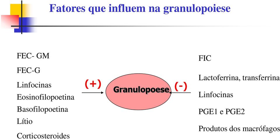 Corticosteroides (+) (-) Granulopoese FIC